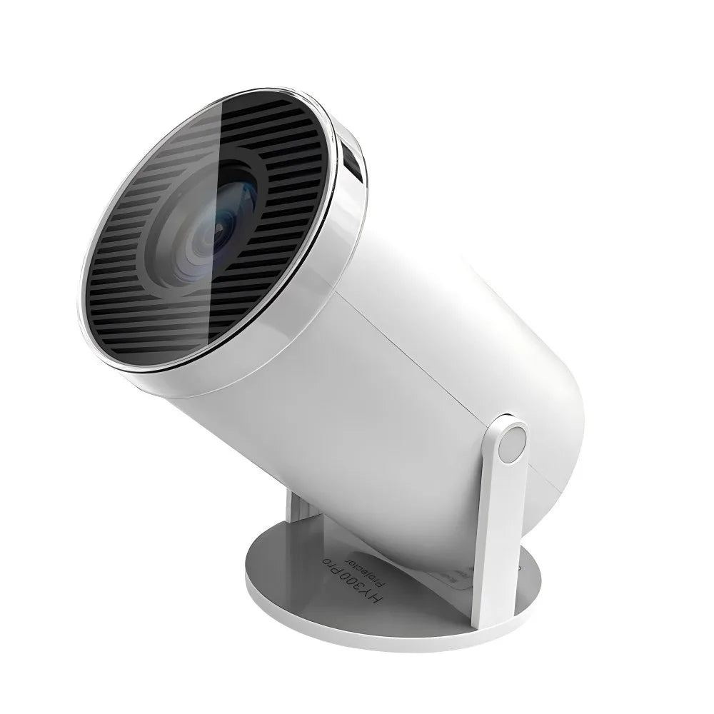 Virtualwindow 300pro